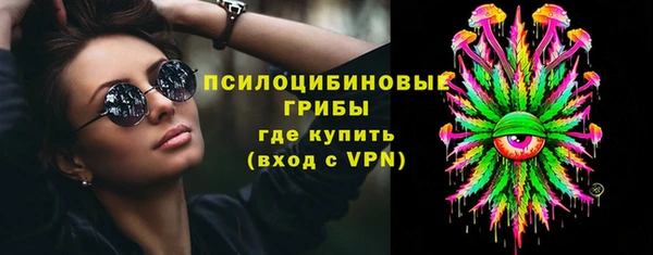 apvp Богданович