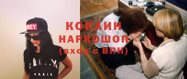 apvp Богданович