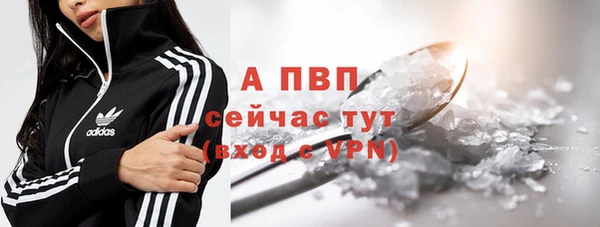 apvp Богданович