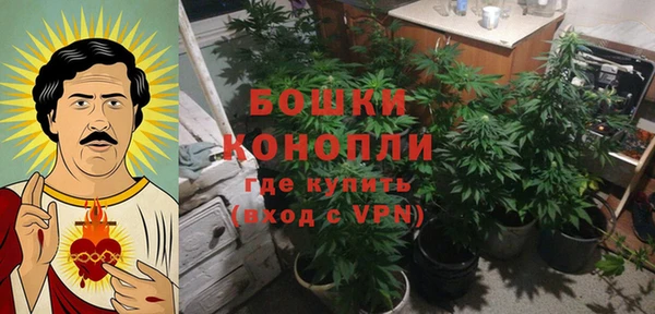 круглые Аркадак