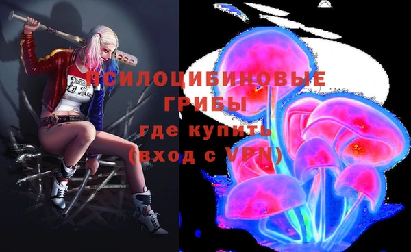 apvp Богданович