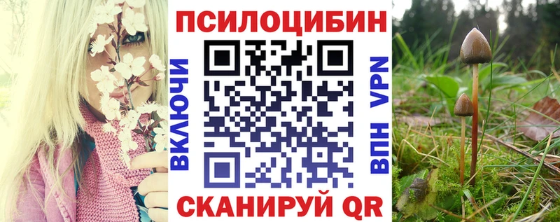 omg Унеча Галлюциногенные грибы Psilocybine cubensis